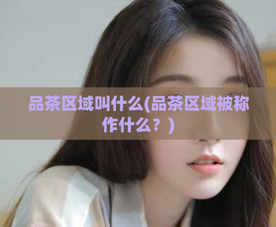 品茶区域叫什么(品茶区域被称作什么？)