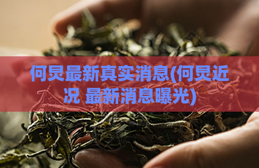 何炅最新真实消息(何炅近况 最新消息曝光)