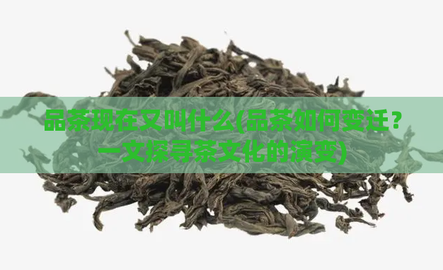 品茶现在又叫什么(品茶如何变迁？一文探寻茶文化的演变)