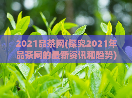 2021品茶网(探究2021年品茶网的最新资讯和趋势)
