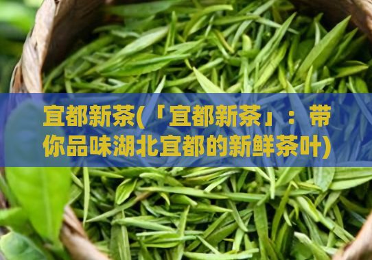宜都新茶(「宜都新茶」：带你品味湖北宜都的新鲜茶叶)