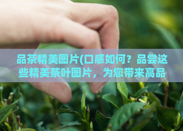 品茶精美图片(口感如何？品尝这些精美茶叶图片，为您带来高品质印象！)