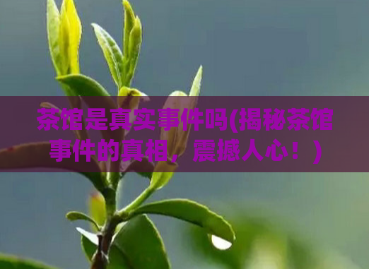 茶馆是真实事件吗(揭秘茶馆事件的真相，震撼人心！)