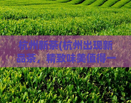 杭州新茶(杭州出现新品茶，精致味美值得一尝)