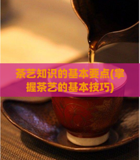 茶艺知识的基本要点(掌握茶艺的基本技巧)