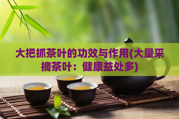 大把抓茶叶的功效与作用(大量采摘茶叶：健康益处多)