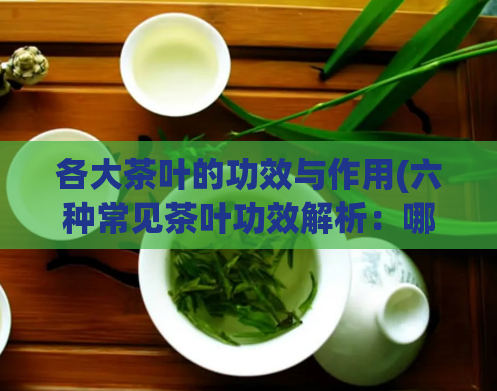 各大茶叶的功效与作用(六种常见茶叶功效解析：哪种适合你？)