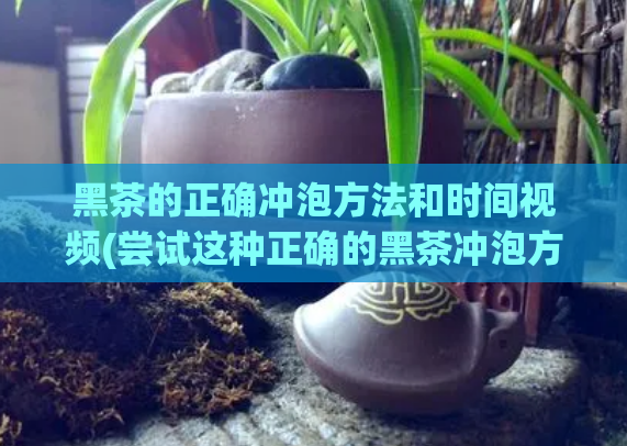 黑茶的正确冲泡方法和时间视频(尝试这种正确的黑茶冲泡方法，提高你的品味。)
