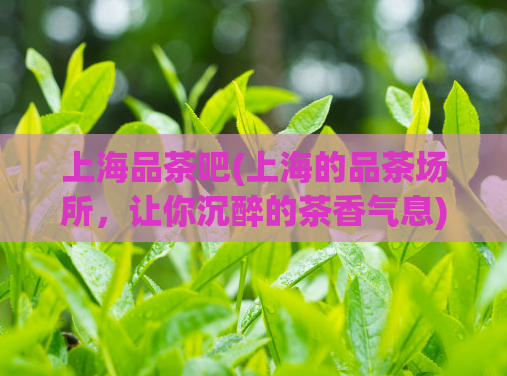 上海品茶吧(上海的品茶场所,让你沉醉的茶香气息)