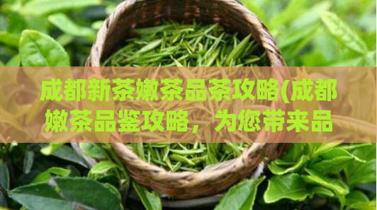 成都新茶嫩茶品茶攻略(成都嫩茶品鉴攻略，为您带来品味新体验！)