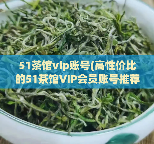 51茶馆vip账号(高性价比的51茶馆VIP会员账号推荐)