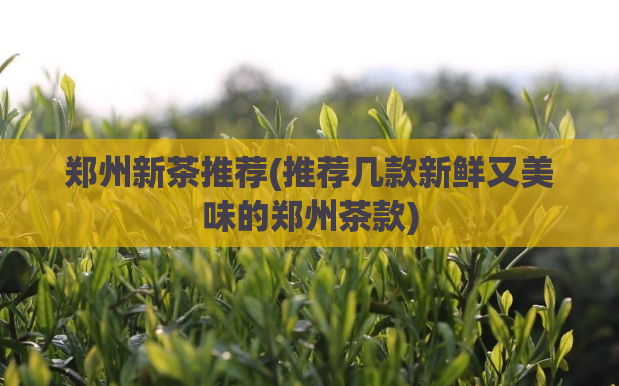 郑州新茶推荐(推荐几款新鲜又美味的郑州茶款)