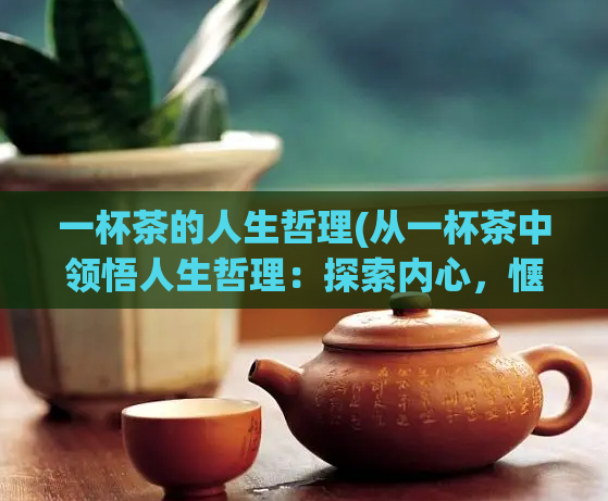 一杯茶的人生哲理(从一杯茶中领悟人生哲理：探索内心，惬意人生)