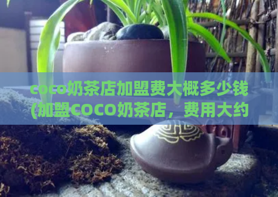 coco奶茶店加盟费大概多少钱(加盟COCO奶茶店，费用大约是多少？)