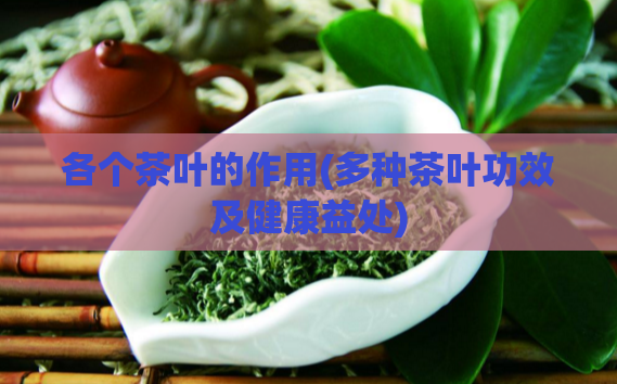 各个茶叶的作用(多种茶叶功效及健康益处)