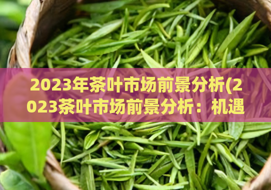 2023年茶叶市场前景分析(2023茶叶市场前景分析:机遇与挑战)