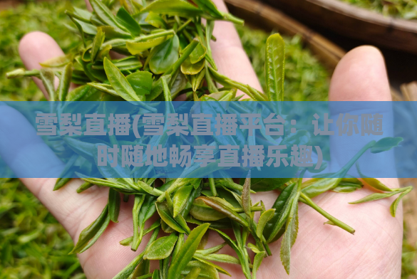 雪梨直播(雪梨直播平台：让你随时随地畅享直播乐趣)