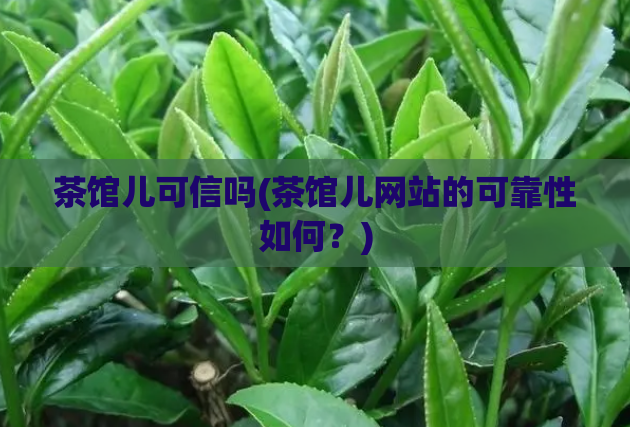 茶馆儿可信吗(茶馆儿网站的可靠性如何?)