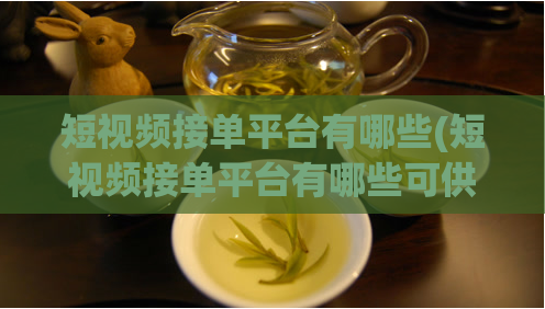短视频接单平台有哪些(短视频接单平台有哪些可供选择？)