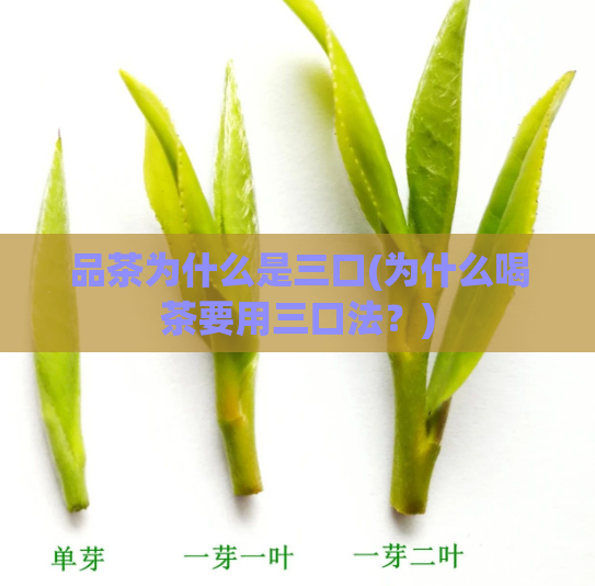 品茶为什么是三口(为什么喝茶要用三口法?)