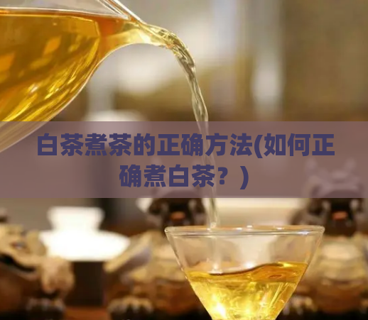 白茶煮茶的正确方法(如何正确煮白茶?)