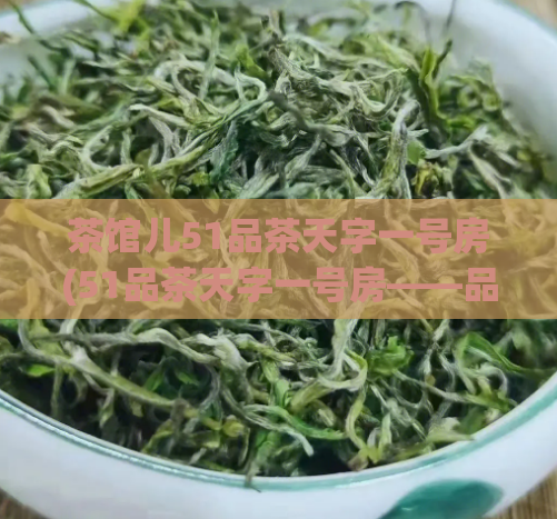 茶馆儿51品茶天字一号房(51品茶天字一号房——品味正宗的中式茶文化)