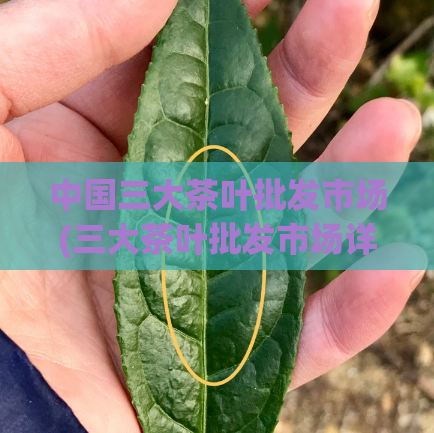 中国三大茶叶批发市场(三大茶叶批发市场详解：品种丰富，质量保证！)