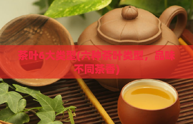 茶叶6大类型(六种茶叶类型,品味不同茶香)