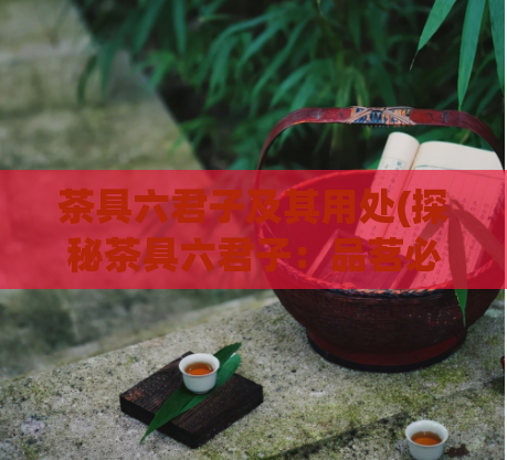 茶具六君子及其用处(探秘茶具六君子：品茗必备工具)