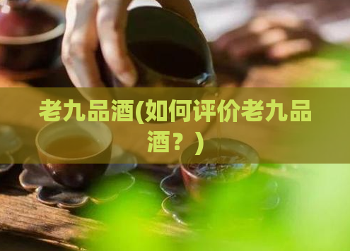 老九品酒(如何评价老九品酒?)