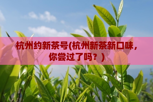 杭州约新茶号(杭州新茶新口味,你尝过了吗?)