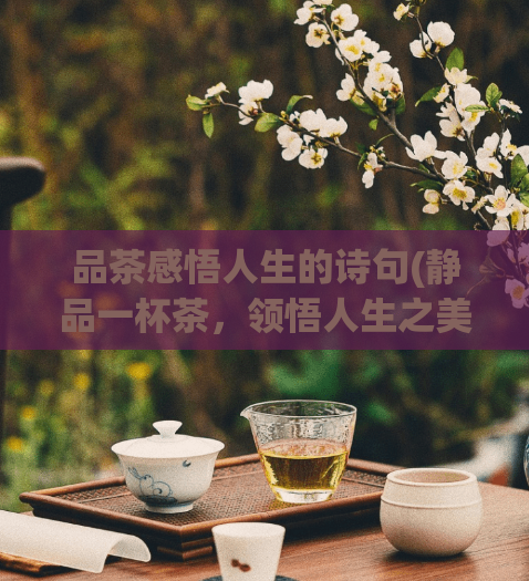 品茶感悟人生的诗句(静品一杯茶，领悟人生之美 )