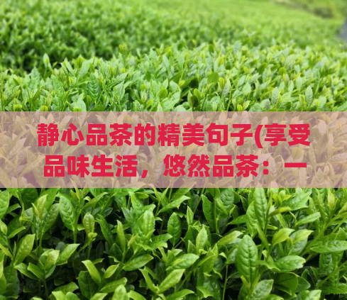 静心品茶的精美句子(享受品味生活,悠然品茶:一杯茶,一份静心)