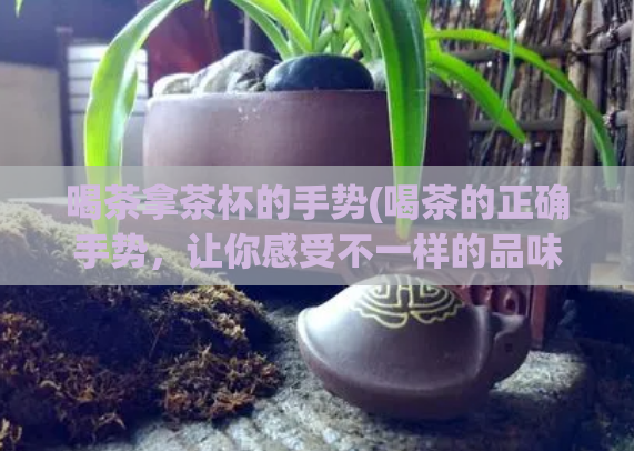 喝茶拿茶杯的手势(喝茶的正确手势,让你感受不一样的品味)