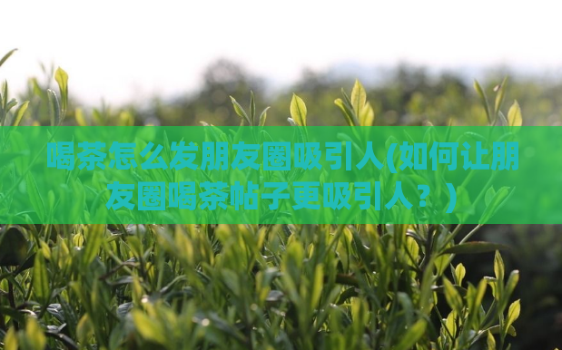 喝茶怎么发朋友圈吸引人(如何让朋友圈喝茶帖子更吸引人？)