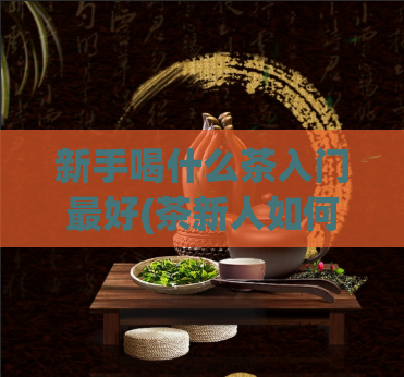 新手喝什么茶入门最好(茶新人如何选择最适合的入门茶)