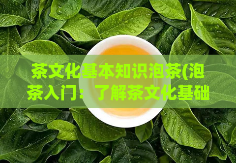 茶文化基本知识泡茶(泡茶入门：了解茶文化基础知识)