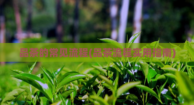 品茶的常见流程(品茶流程实用指南)
