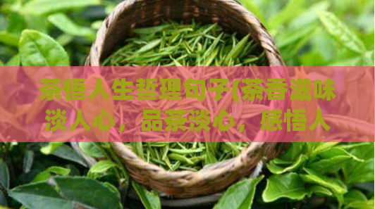 茶悟人生哲理句子(茶香滋味淡人心，品茶淡心，感悟人生)