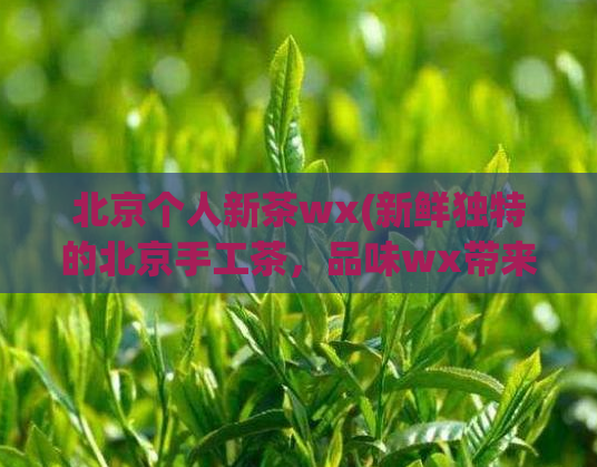 北京个人新茶wx(新鲜独特的北京手工茶，品味wx带来的茶香)