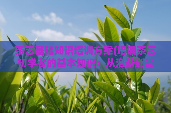 茶艺基础知识培训方案(培训茶艺初学者的基本知识:从泡茶到品茶)