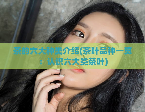 茶的六大种类介绍(茶叶品种一览：认识六大类茶叶)