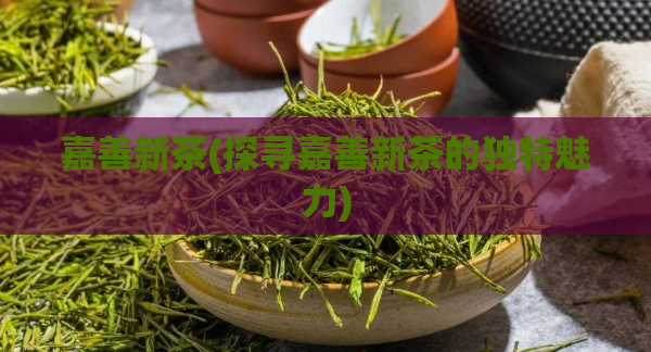 嘉善新茶(探寻嘉善新茶的独特魅力)