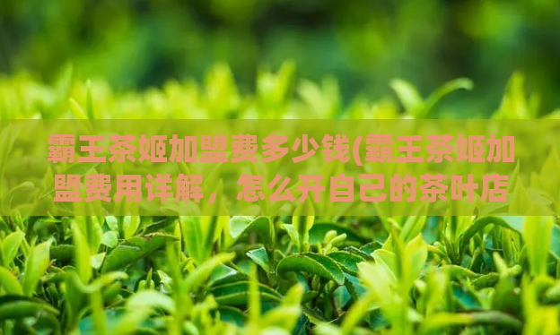 霸王茶姬加盟费多少钱(霸王茶姬加盟费用详解,怎么开自己的茶叶店?)