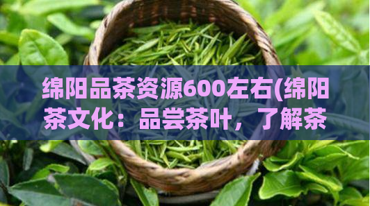 绵阳品茶资源600左右(绵阳茶文化：品尝茶叶，了解茶文化的600左右资源)