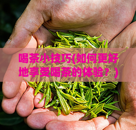 喝茶小技巧(如何更好地享受喝茶的体验？)