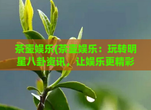 茶壶娱乐(茶壶娱乐：玩转明星八卦资讯，让娱乐更精彩)