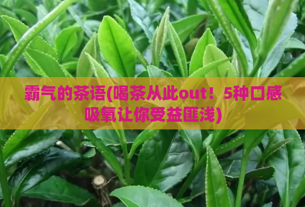 霸气的茶语(喝茶从此out!5种口感吸氧让你受益匪浅)
