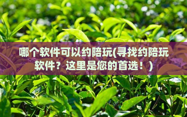 哪个软件可以约陪玩(寻找约陪玩软件?这里是您的首选!)