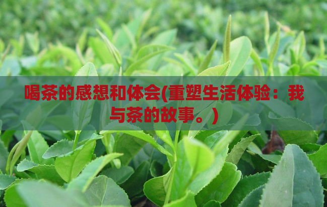 喝茶的感想和体会(重塑生活体验：我与茶的故事。)